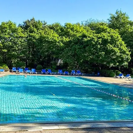 公寓 Am Suedwesthorizont App 185 *