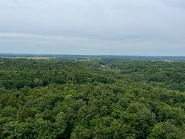 Am Suedwesthorizont App 185 *